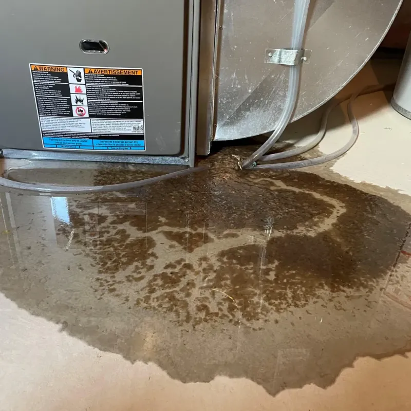 Appliance Leak Cleanup in Hanover, PA